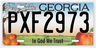 GA license plate PXF2973