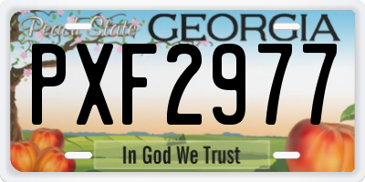 GA license plate PXF2977