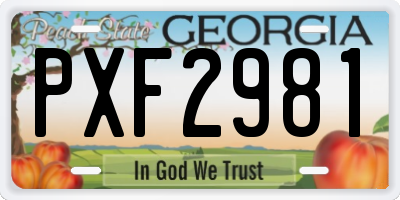 GA license plate PXF2981