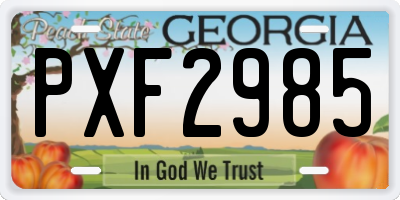 GA license plate PXF2985