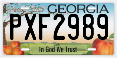 GA license plate PXF2989
