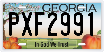 GA license plate PXF2991