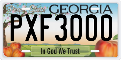 GA license plate PXF3000