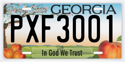 GA license plate PXF3001