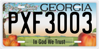 GA license plate PXF3003