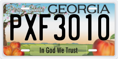 GA license plate PXF3010