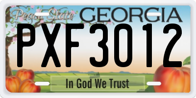 GA license plate PXF3012