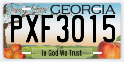 GA license plate PXF3015