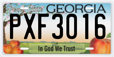 GA license plate PXF3016