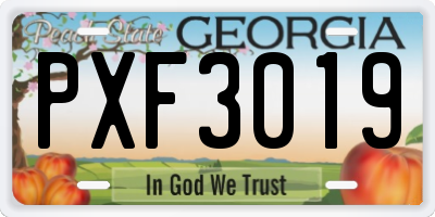 GA license plate PXF3019