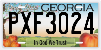 GA license plate PXF3024