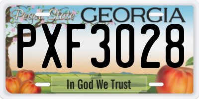 GA license plate PXF3028