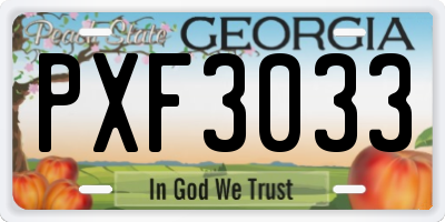 GA license plate PXF3033