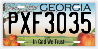 GA license plate PXF3035