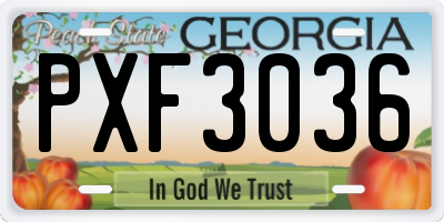 GA license plate PXF3036