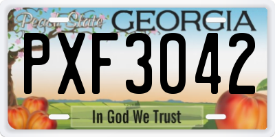 GA license plate PXF3042