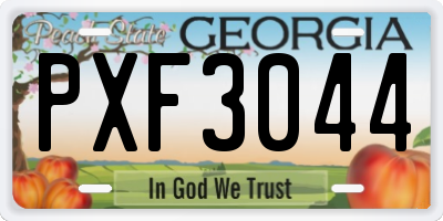 GA license plate PXF3044
