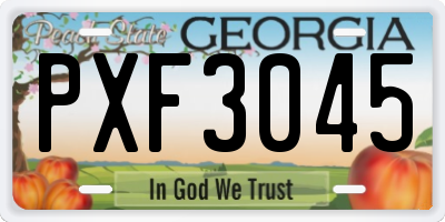 GA license plate PXF3045