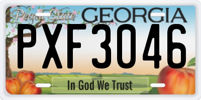 GA license plate PXF3046