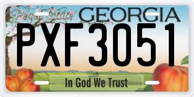 GA license plate PXF3051