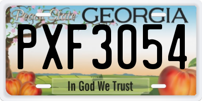 GA license plate PXF3054