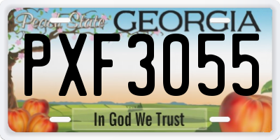 GA license plate PXF3055