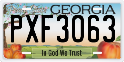 GA license plate PXF3063