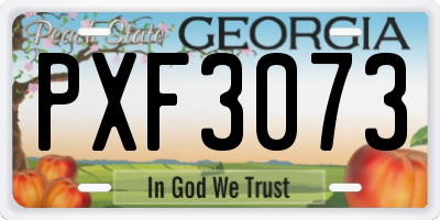 GA license plate PXF3073