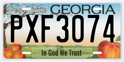 GA license plate PXF3074