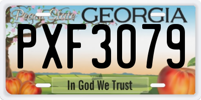 GA license plate PXF3079