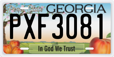 GA license plate PXF3081