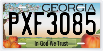 GA license plate PXF3085