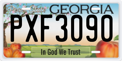 GA license plate PXF3090