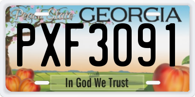GA license plate PXF3091