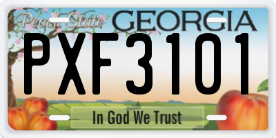 GA license plate PXF3101