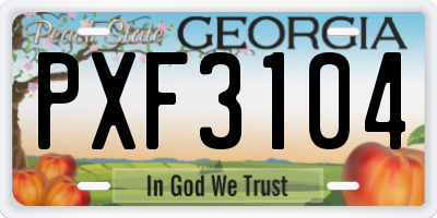GA license plate PXF3104