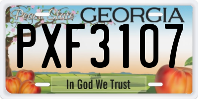 GA license plate PXF3107
