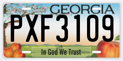 GA license plate PXF3109