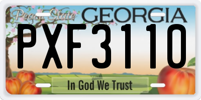 GA license plate PXF3110
