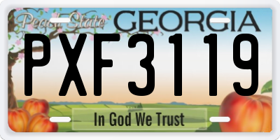 GA license plate PXF3119