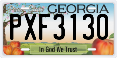 GA license plate PXF3130