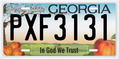 GA license plate PXF3131