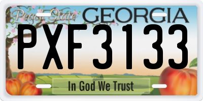 GA license plate PXF3133