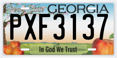 GA license plate PXF3137