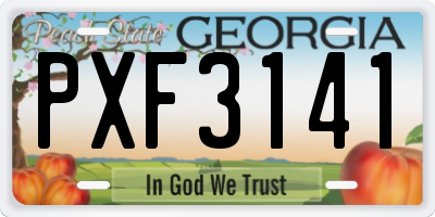 GA license plate PXF3141