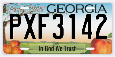 GA license plate PXF3142