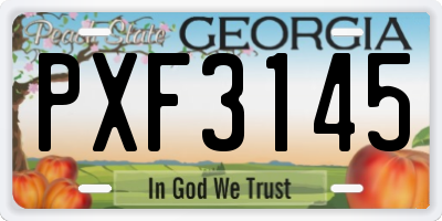 GA license plate PXF3145