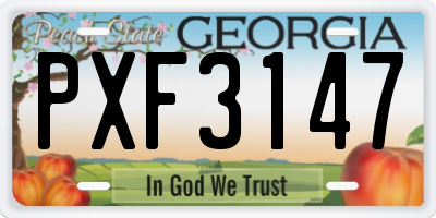 GA license plate PXF3147