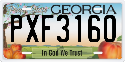 GA license plate PXF3160