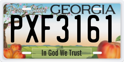 GA license plate PXF3161